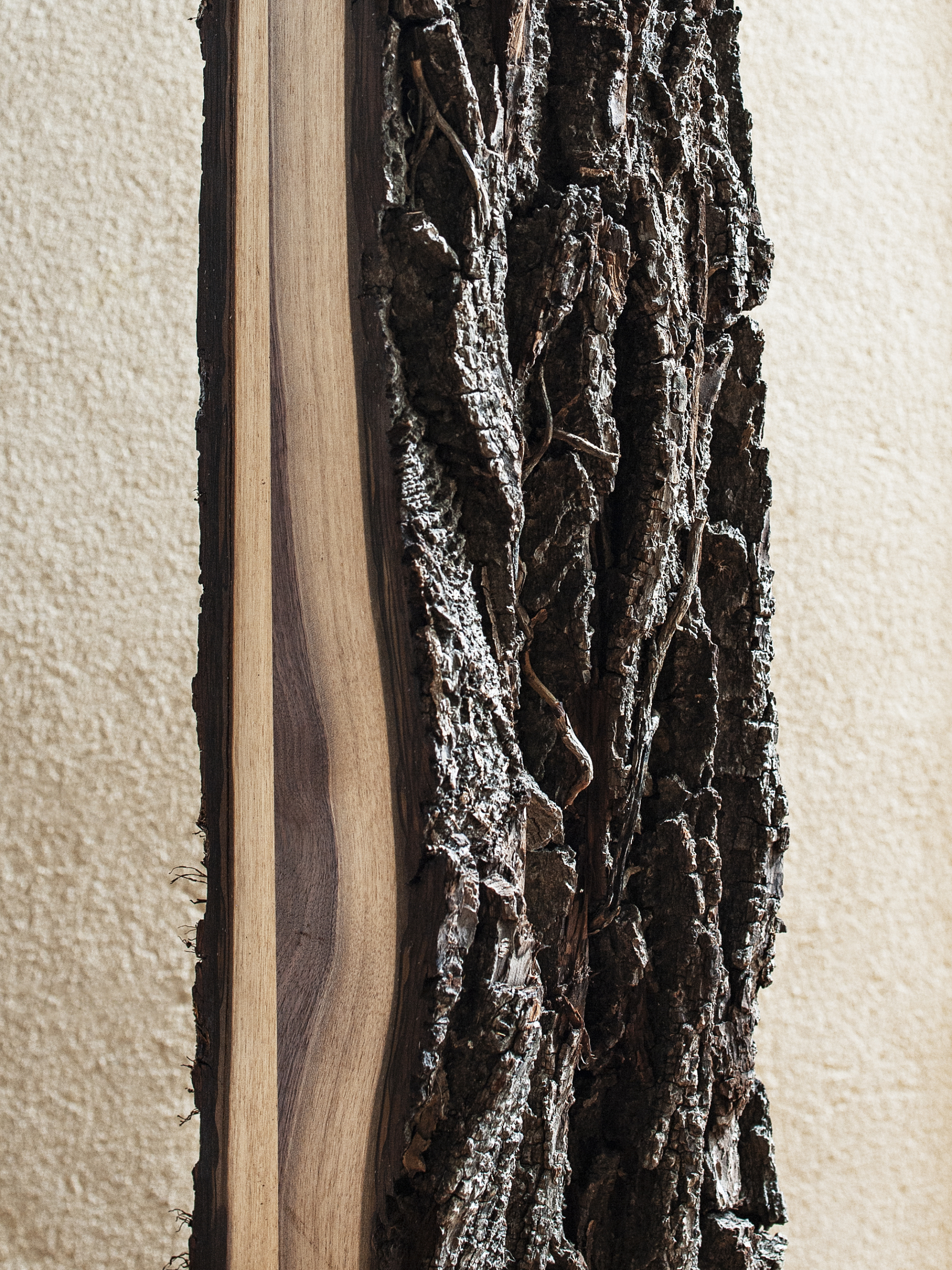 Ecorce de noyer us et papier d'écorce maya et papier thailandais